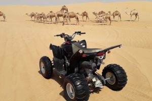 Quad-bike-kids-family-activities-in-doha-qatar