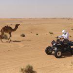 cheap-Quad-Bike-atv-open-desert-tour-ride-family-doha-qatar