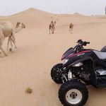 cheap-quad-bike-models-riding-in-doha-qatar