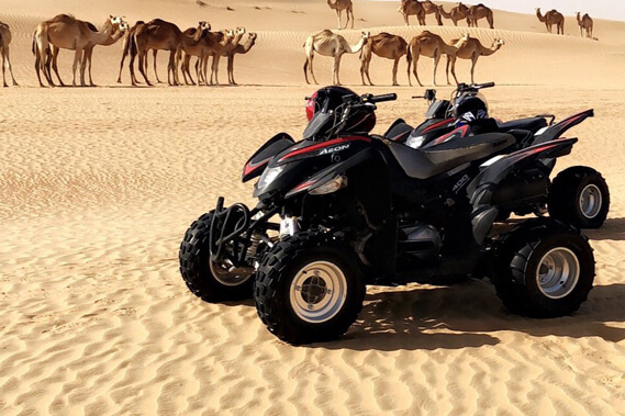 quad-bike-rental-company-locations-in-doha-qatar