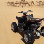 quad-biking-trip-cost-in-doha-qatar